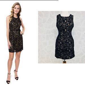 NWT Tart  Collections Black  Lace  Sheath Dress Small